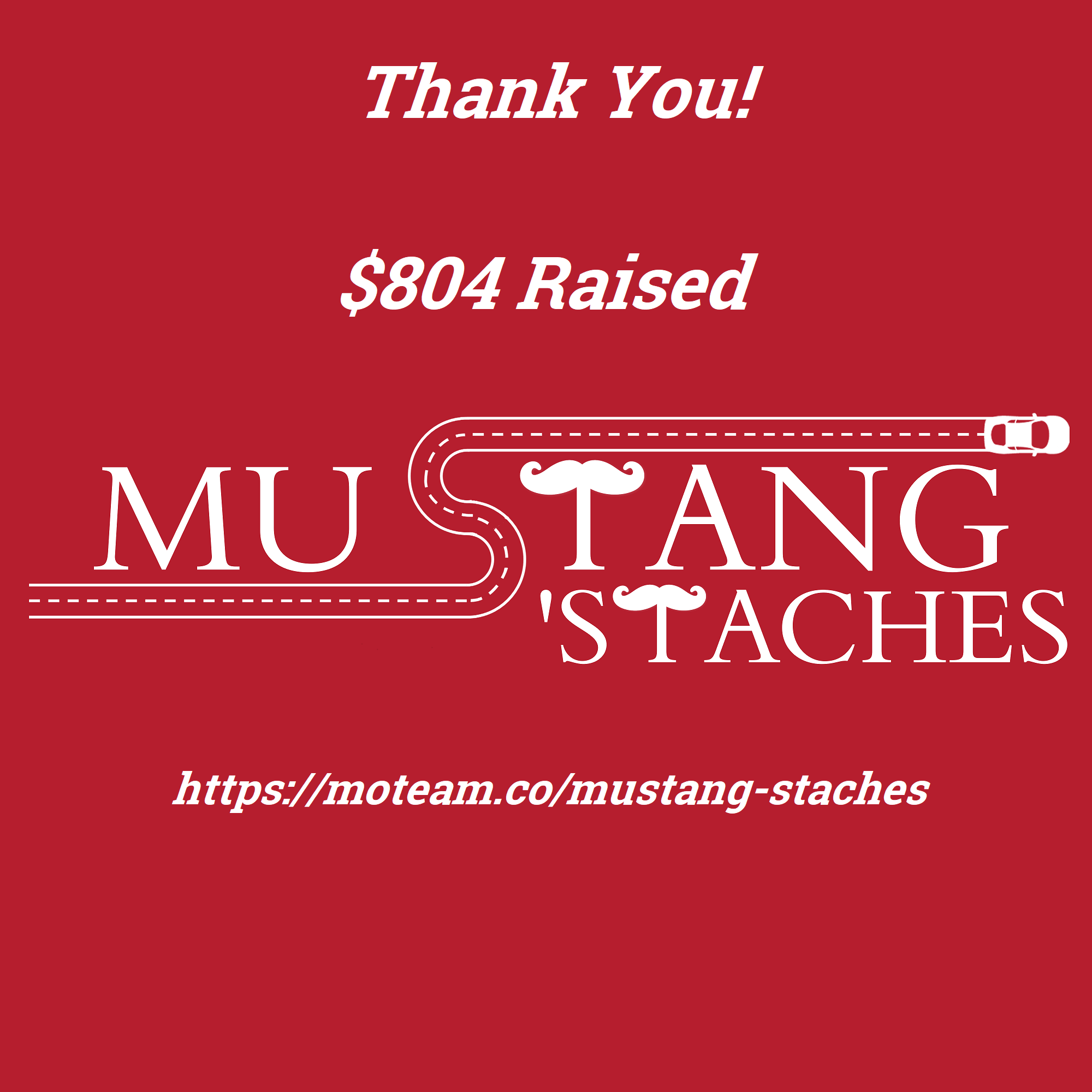 Thank You image for Mustang Staches